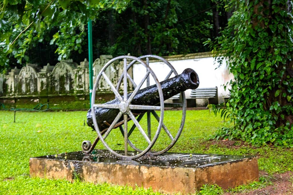 Serene Gardens & Serpent Grove