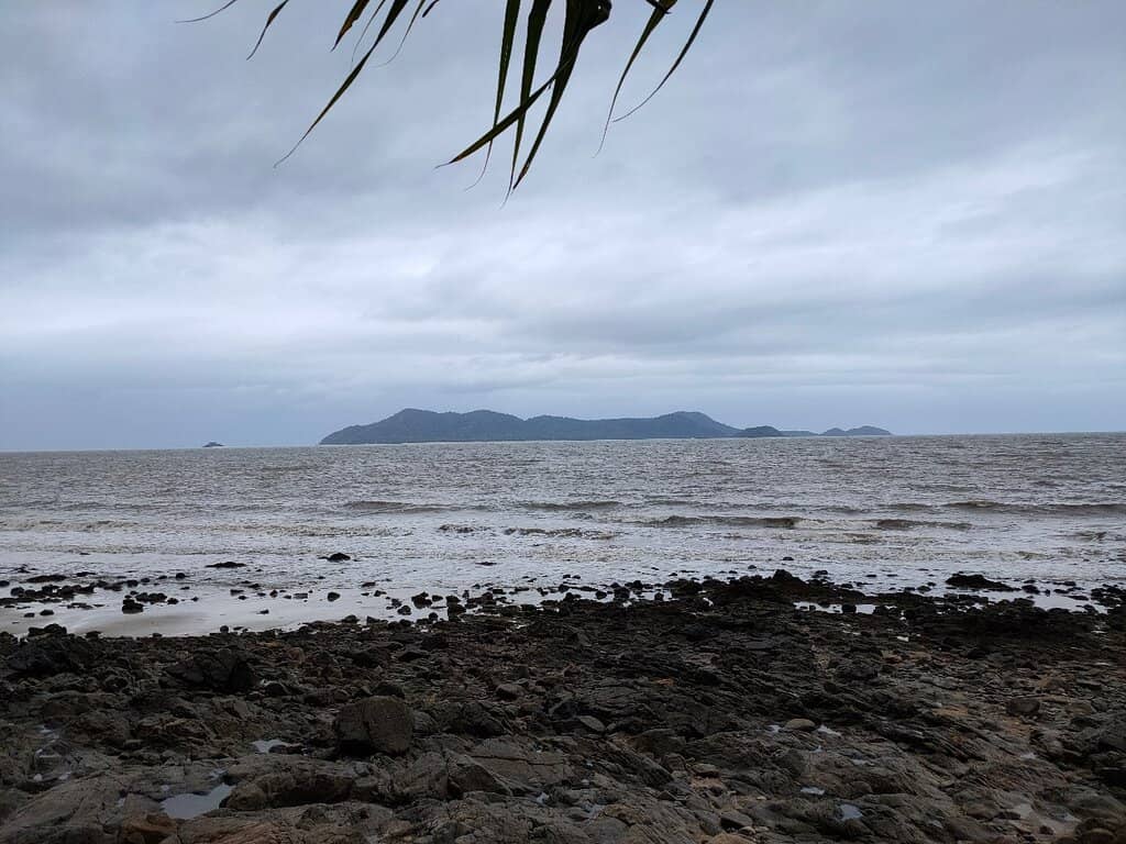 Lush Rainforest Trails