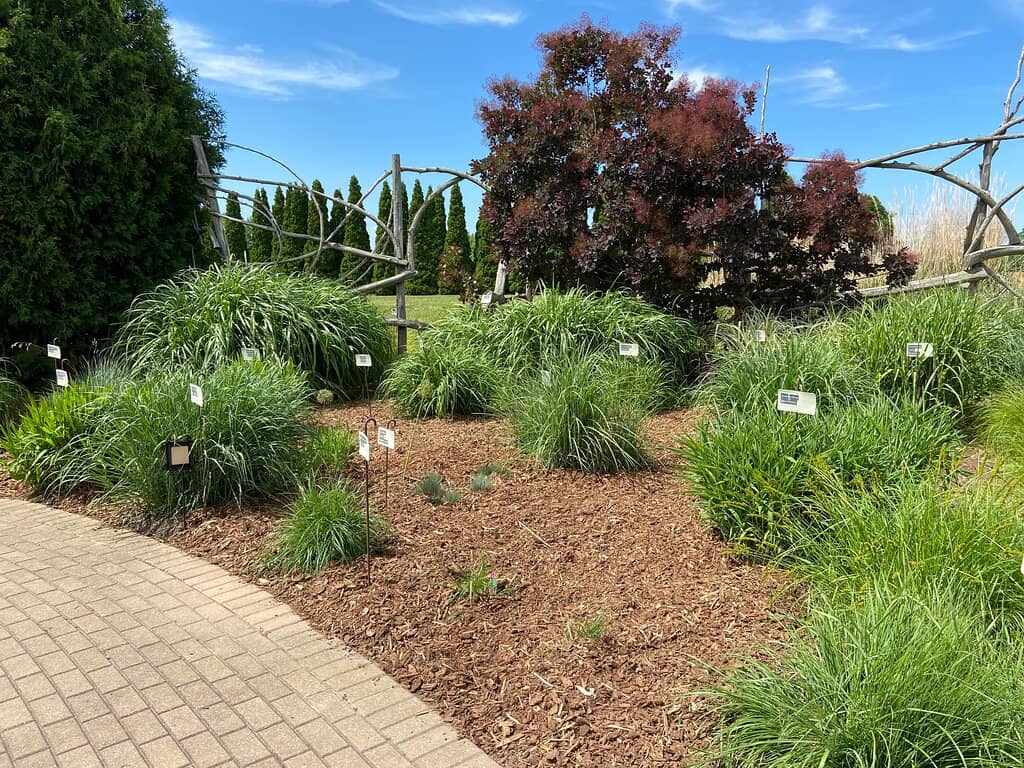 Fairy Garden & Toad Abode
