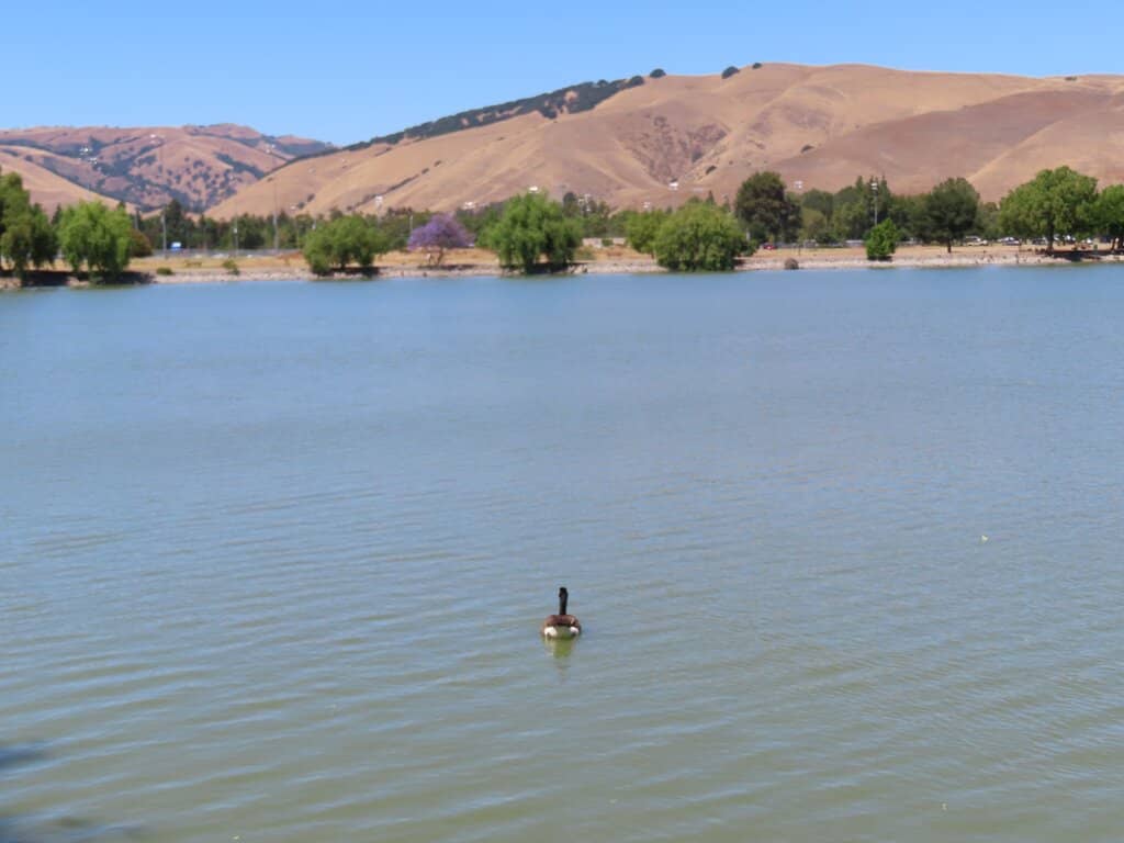 Sunset and Sunrise Views