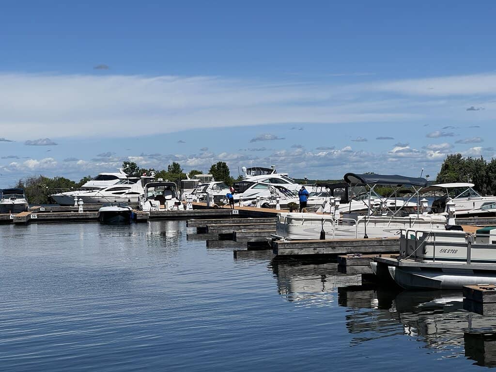 Pirate Party Extravaganza