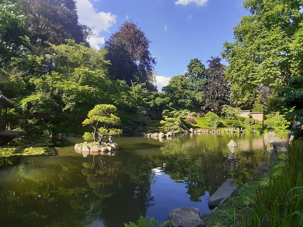 Koi Ponds & Waterfalls