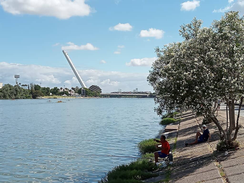 Parque del Alamillo