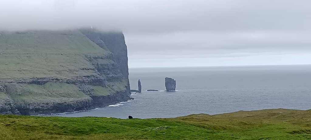 The Giant and The Witch