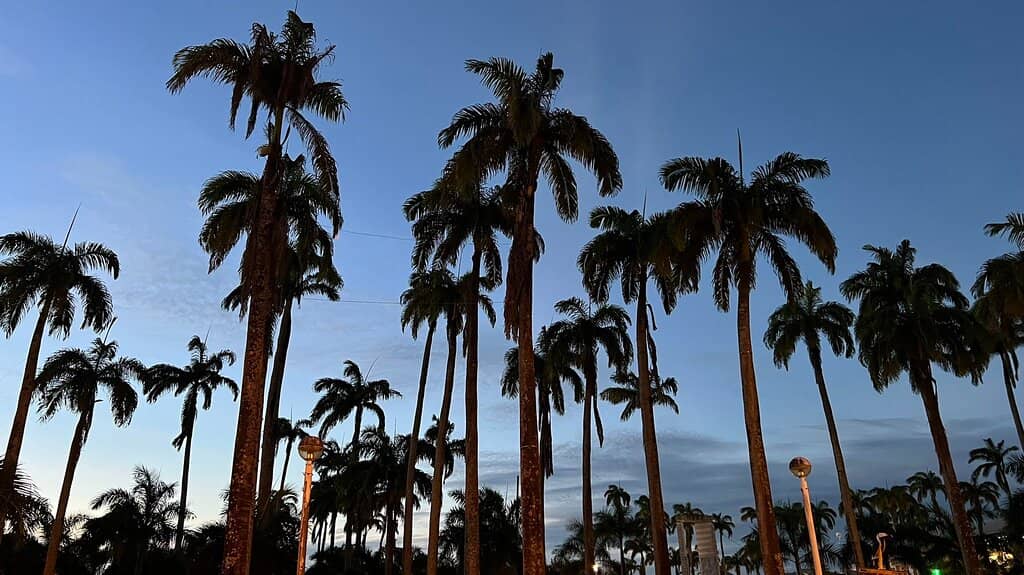 Architectural Strolls