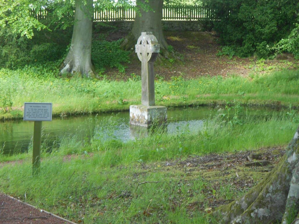 Holystone Woods