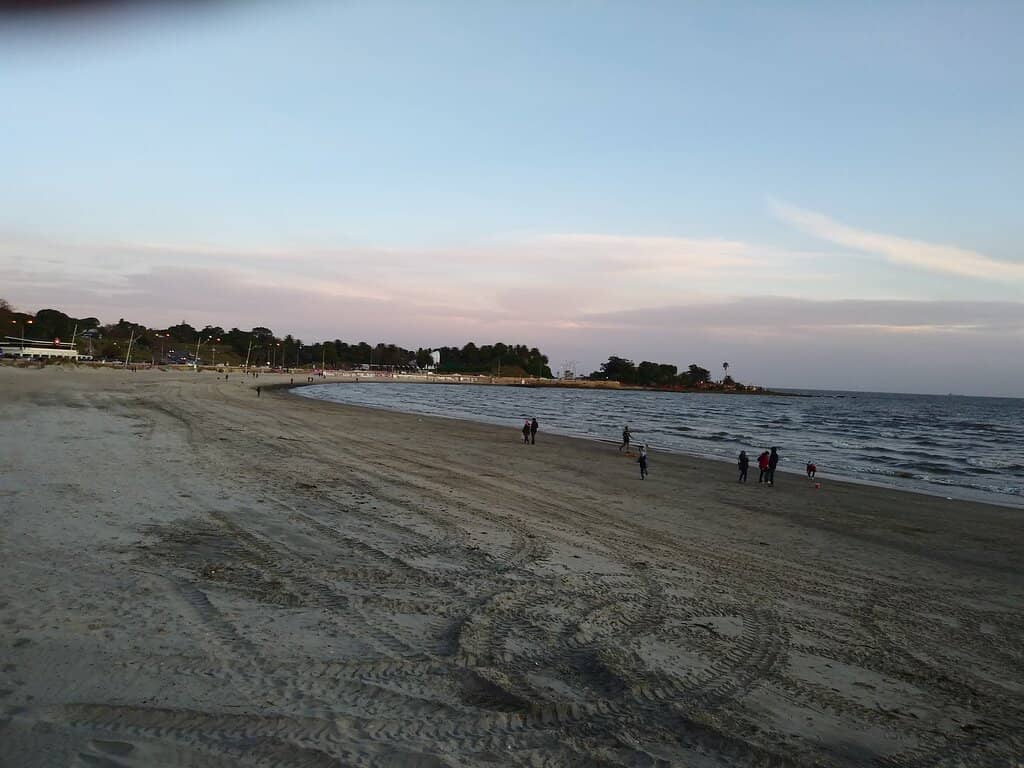 Día de Yemayá Celebration