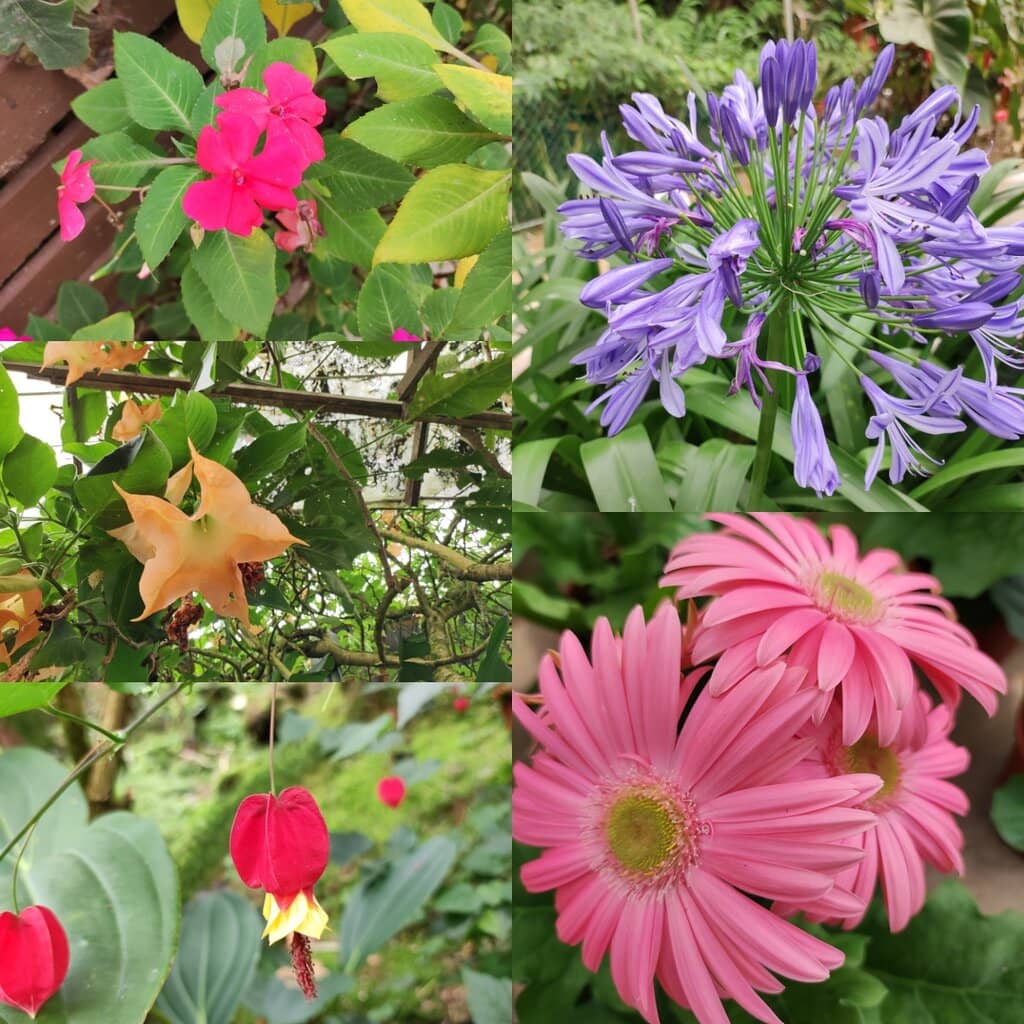 Scenic Walking Trails