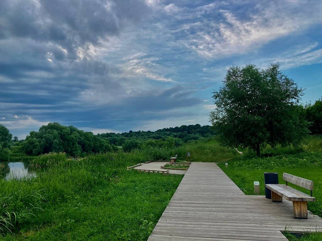 Natural River Landscape