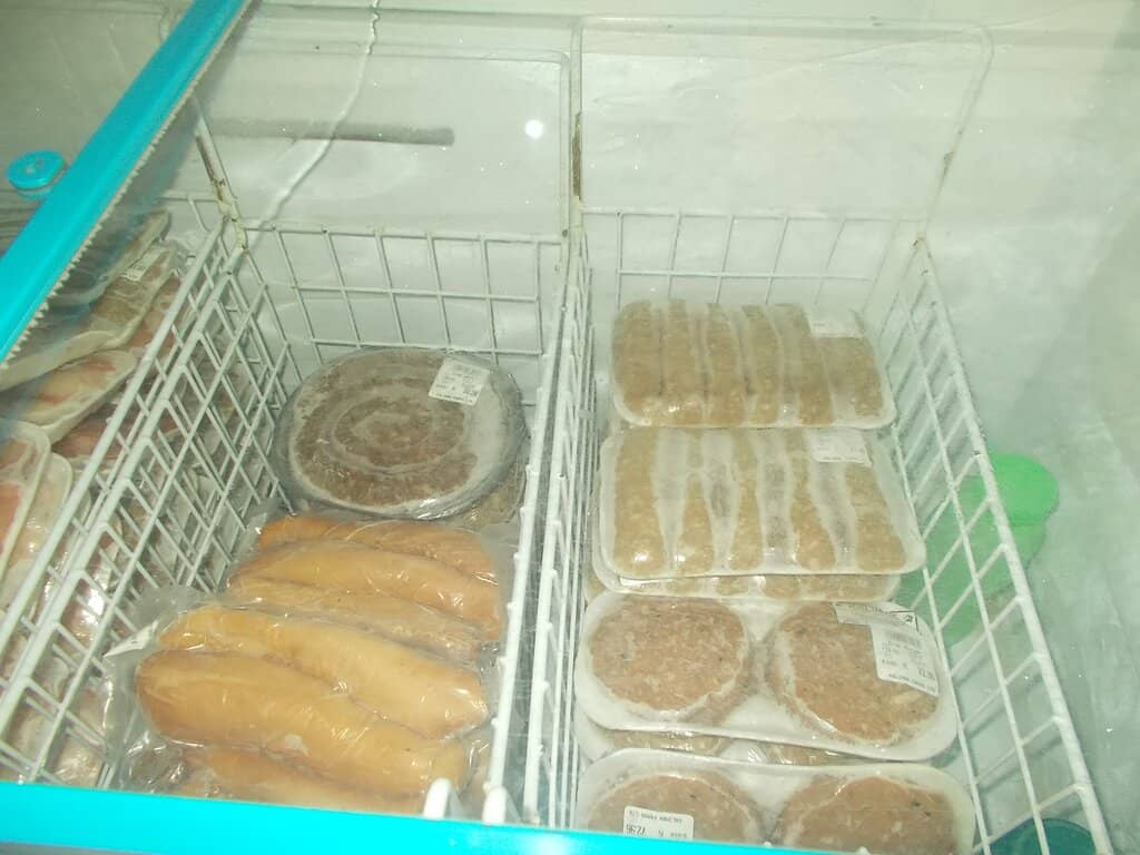 The Monster Crocodile