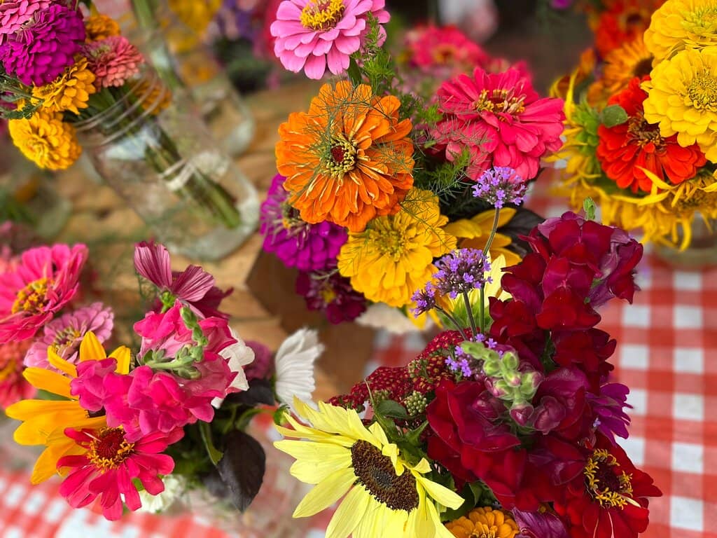 Diverse Food Vendors