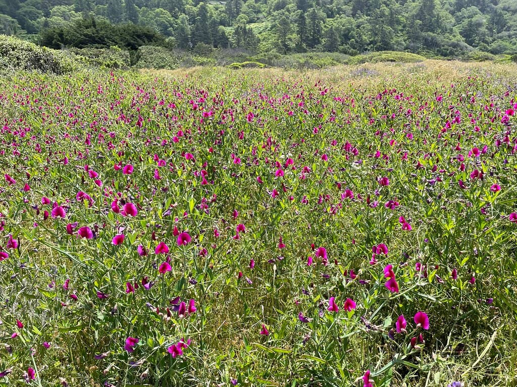 Informative Displays