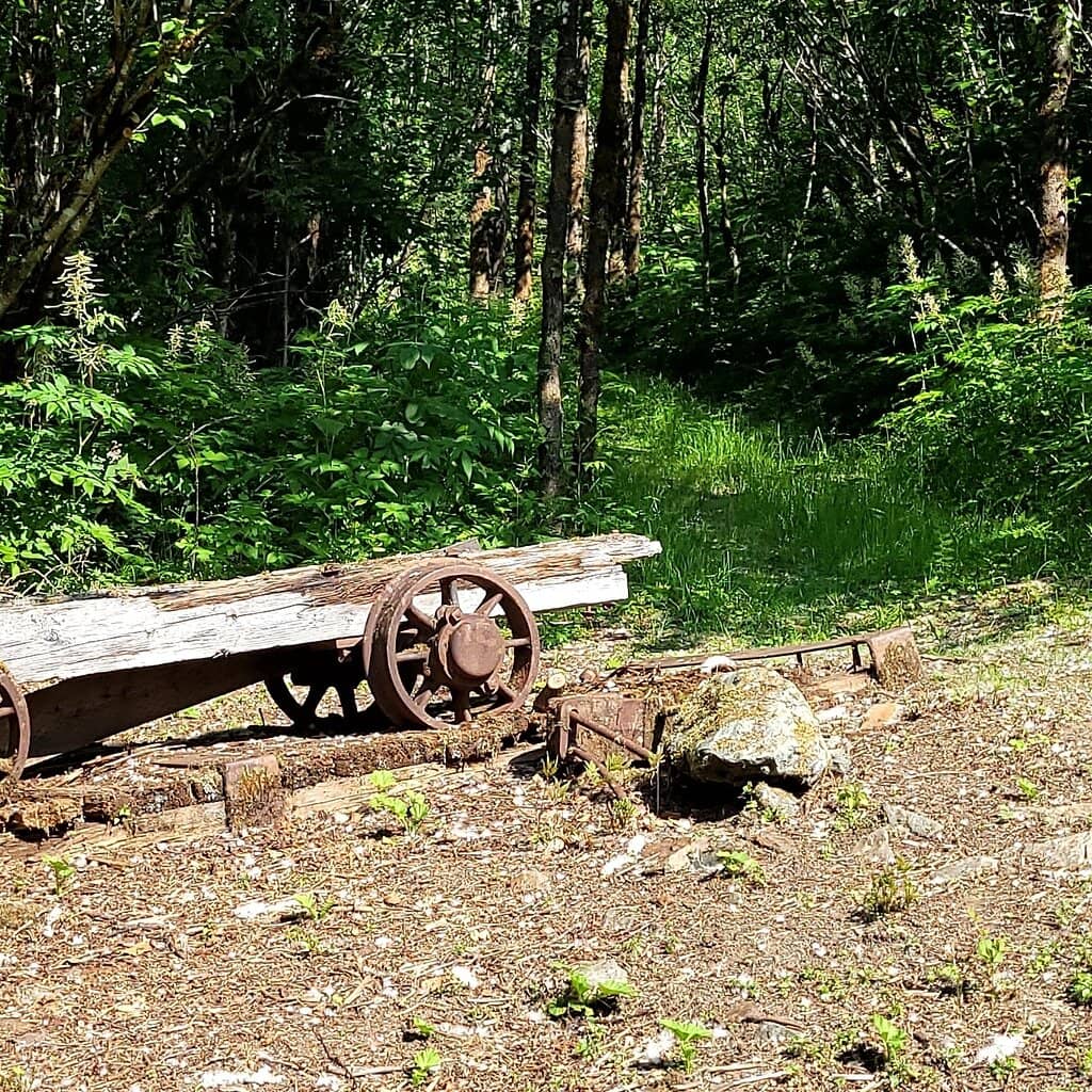 Knowledgeable Volunteers