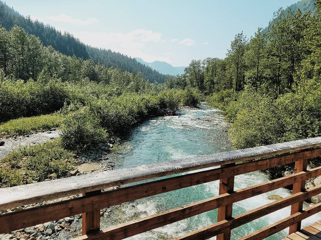 Gold Panning Stream