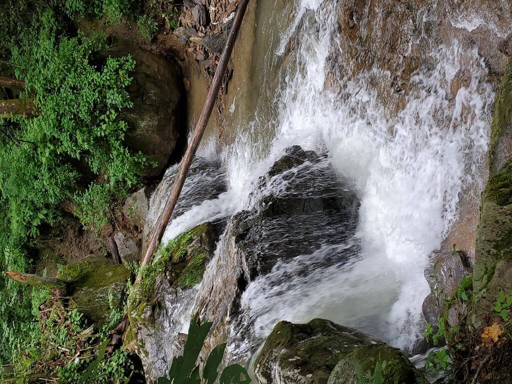 Henry Ford Connection