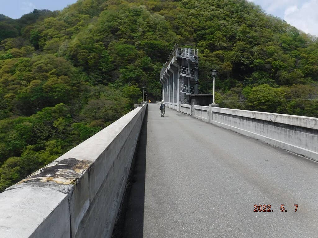 Vertical photo