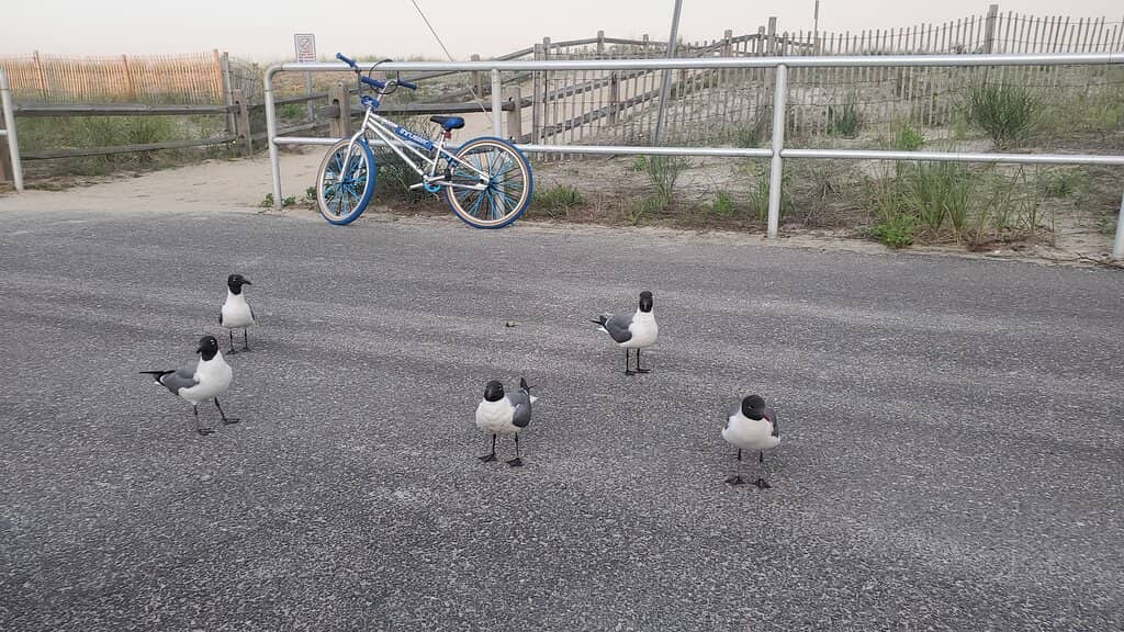 Unique Boutique Finds