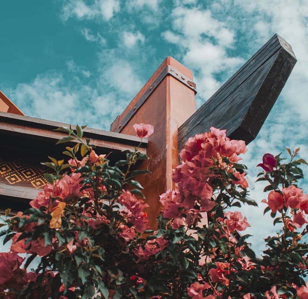 Vineyard Views