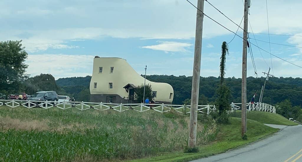 Unique Airbnb Experience