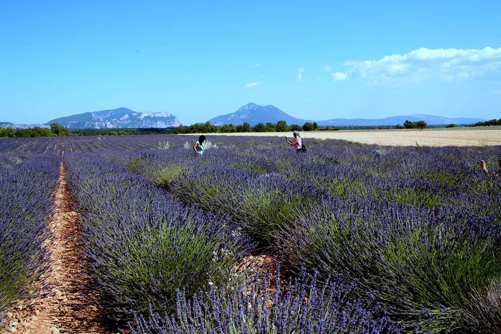 Charming Valensole Village