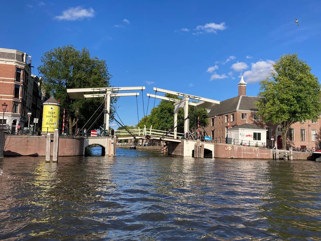 Illuminated Nighttime Spectacle