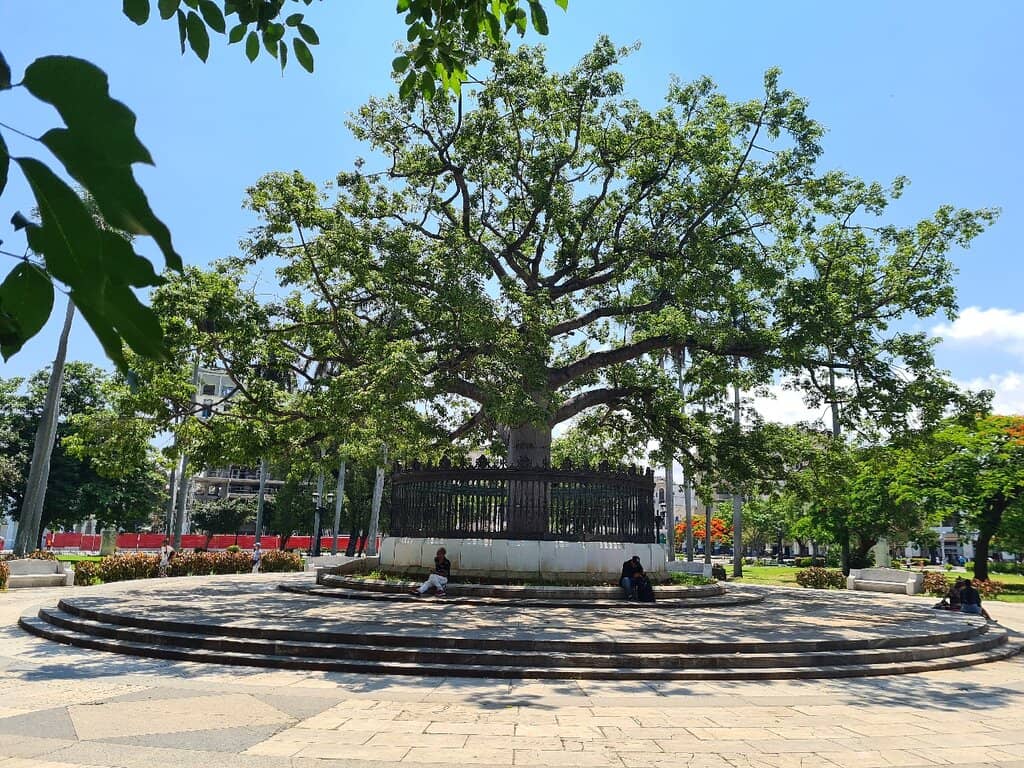 Central Havana Hub