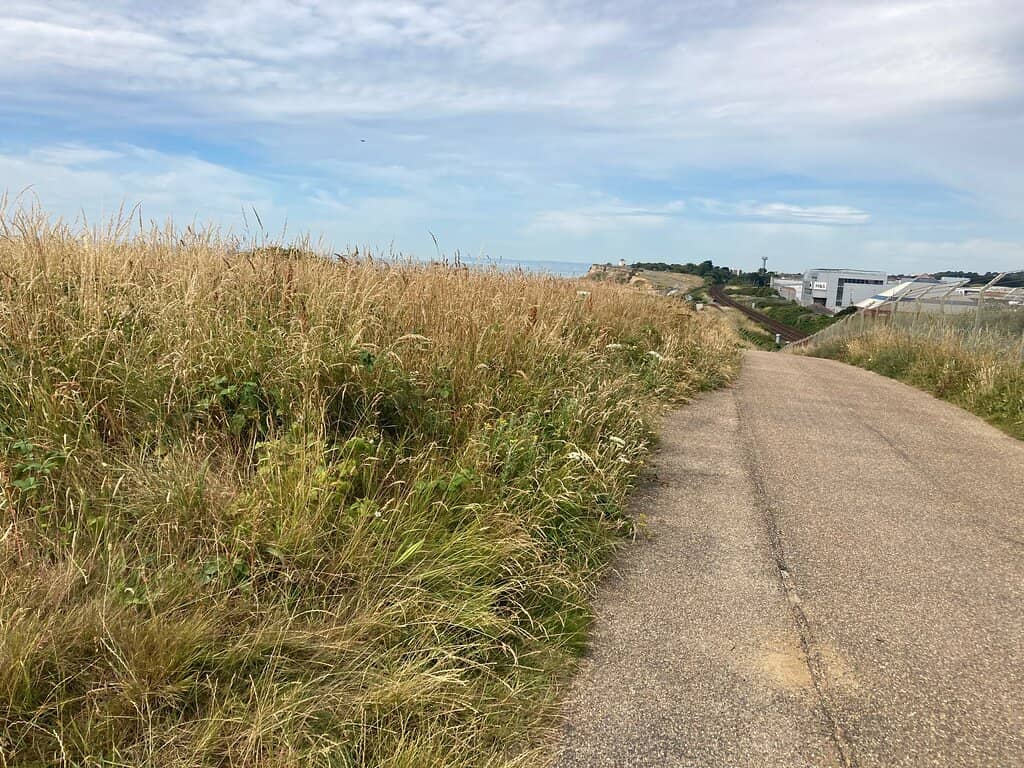 Stony Shoreline Strolls