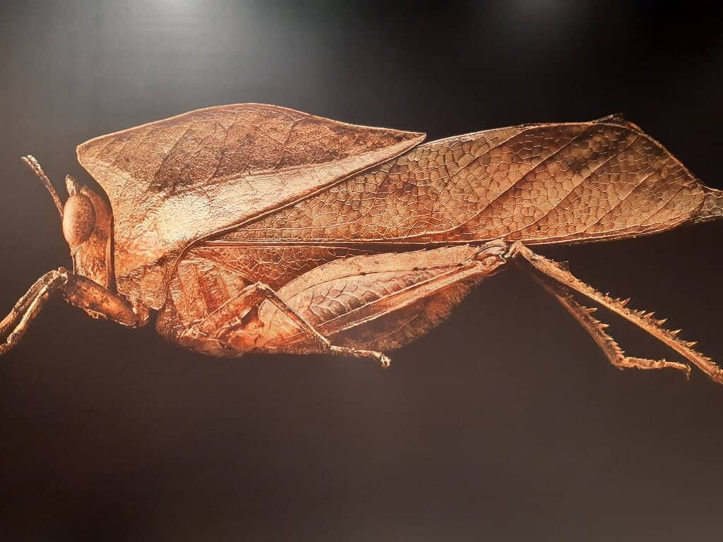 Temporary Exhibitions