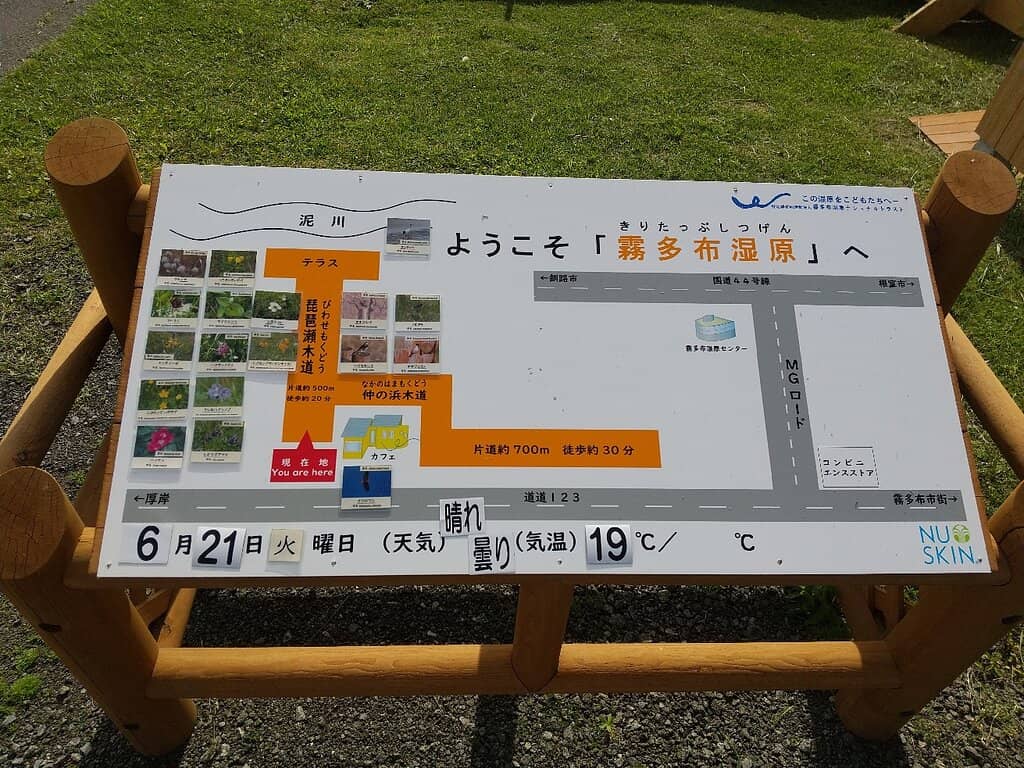 Birdwatching Paradise