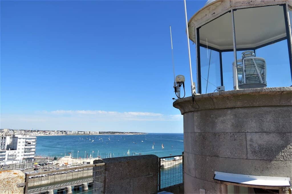 Archaeological Excavation Insights