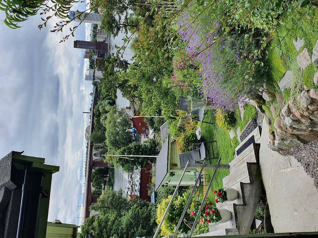 Mini-Golf & Petanque