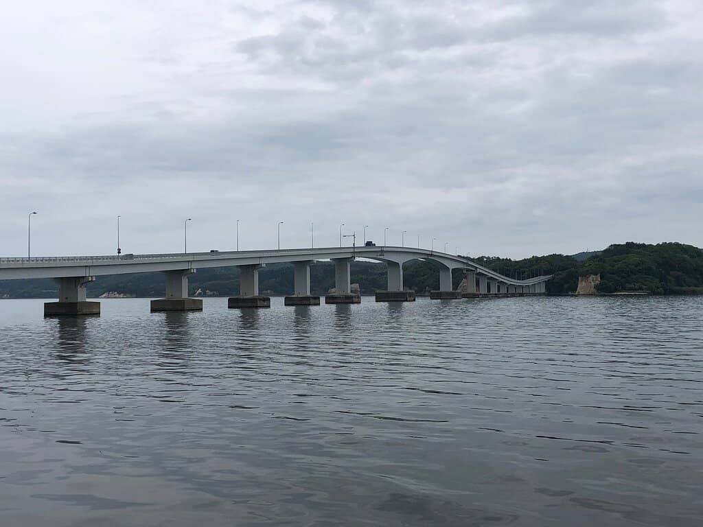 Wild Eagle Encounter