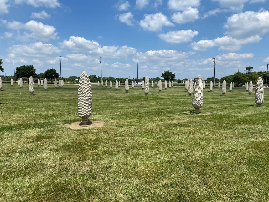 Peaceful Green Space