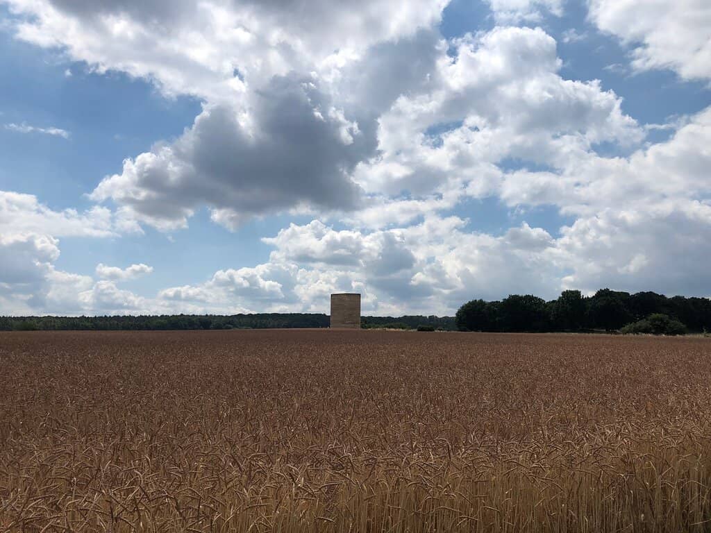 The Field Setting