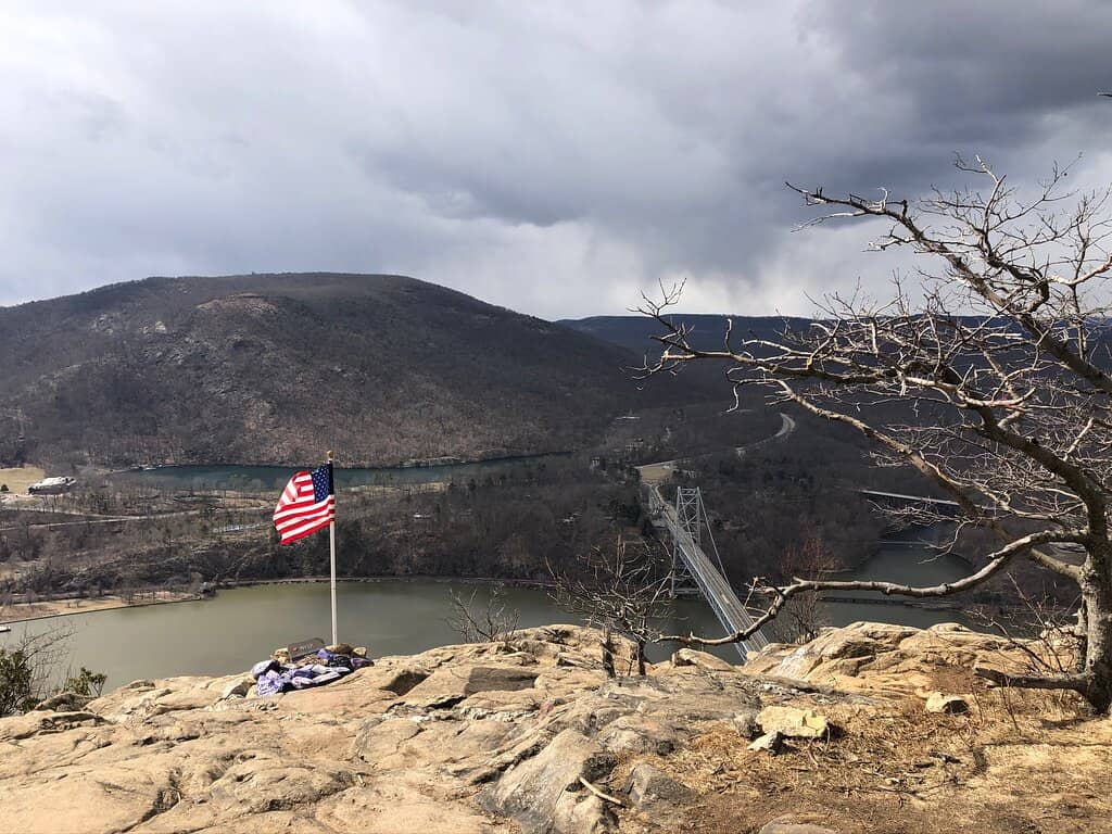 Dog-Friendly Adventure