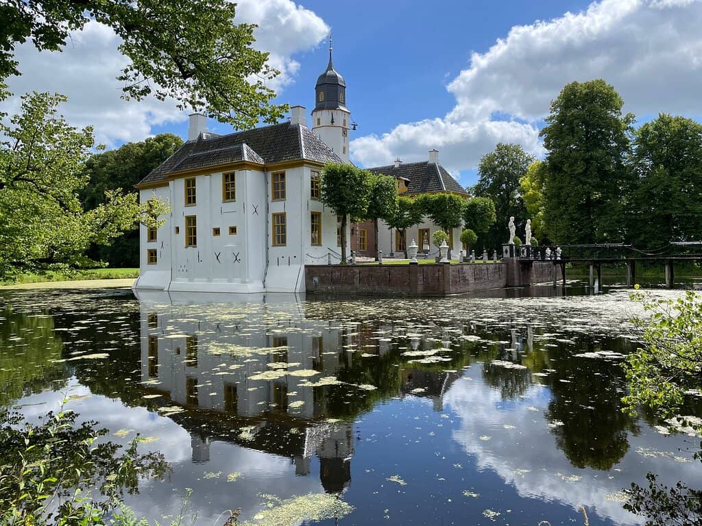 The Magnificent Forest Park