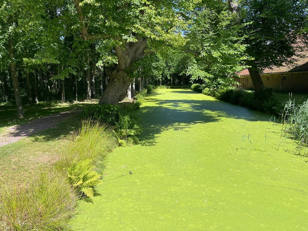 Historic Borg Interior
