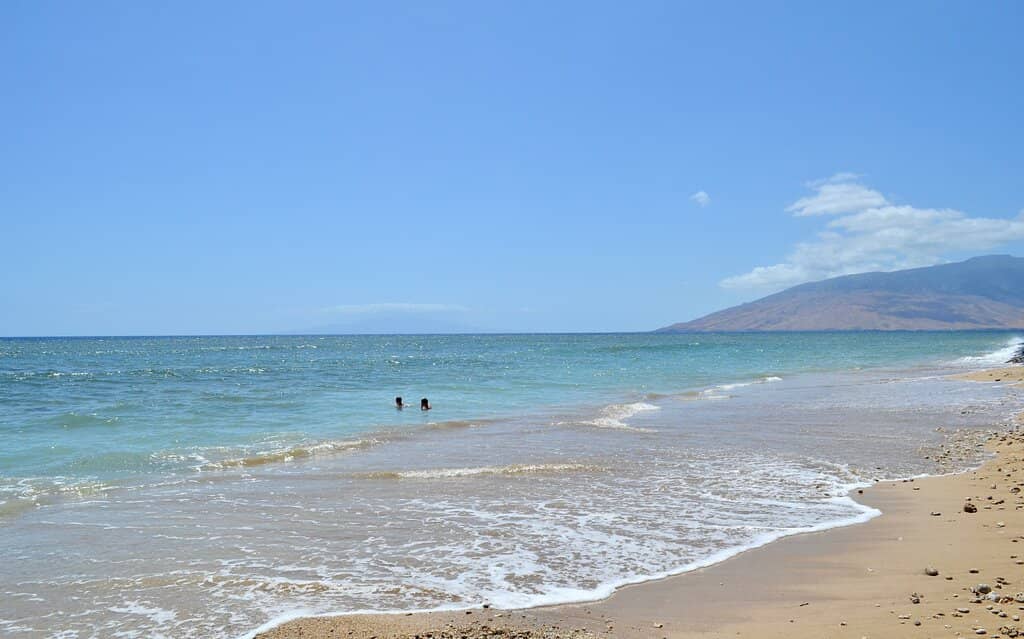 Kid-Friendly Playground