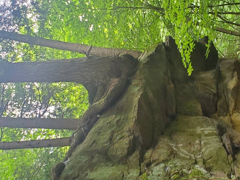 Scenic Hiking Trails