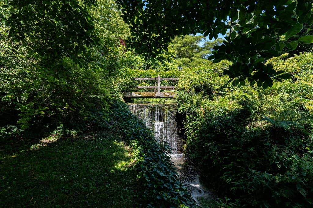 Dukes of Rohan's History