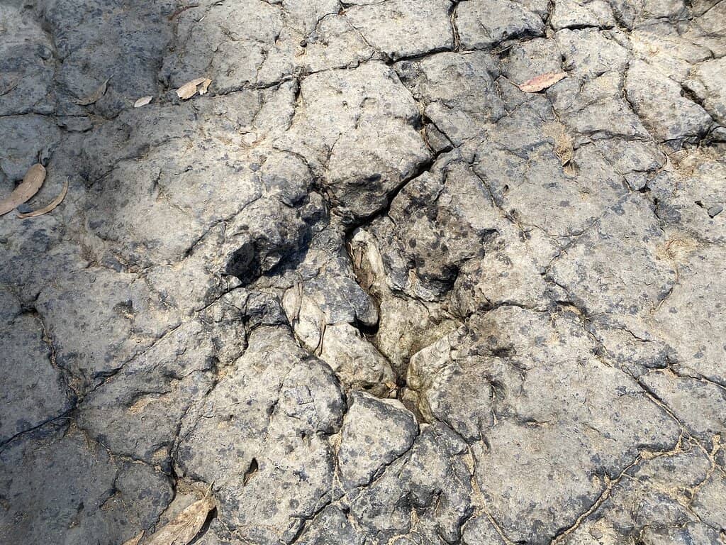 Coastal Path to La Isla