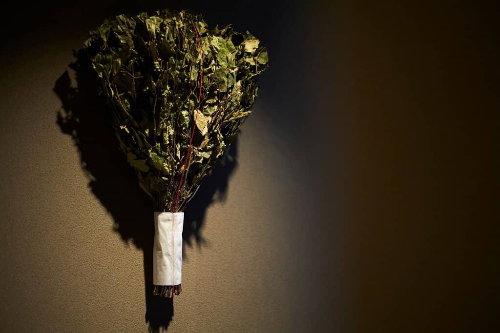 Cold Shower & Relaxation