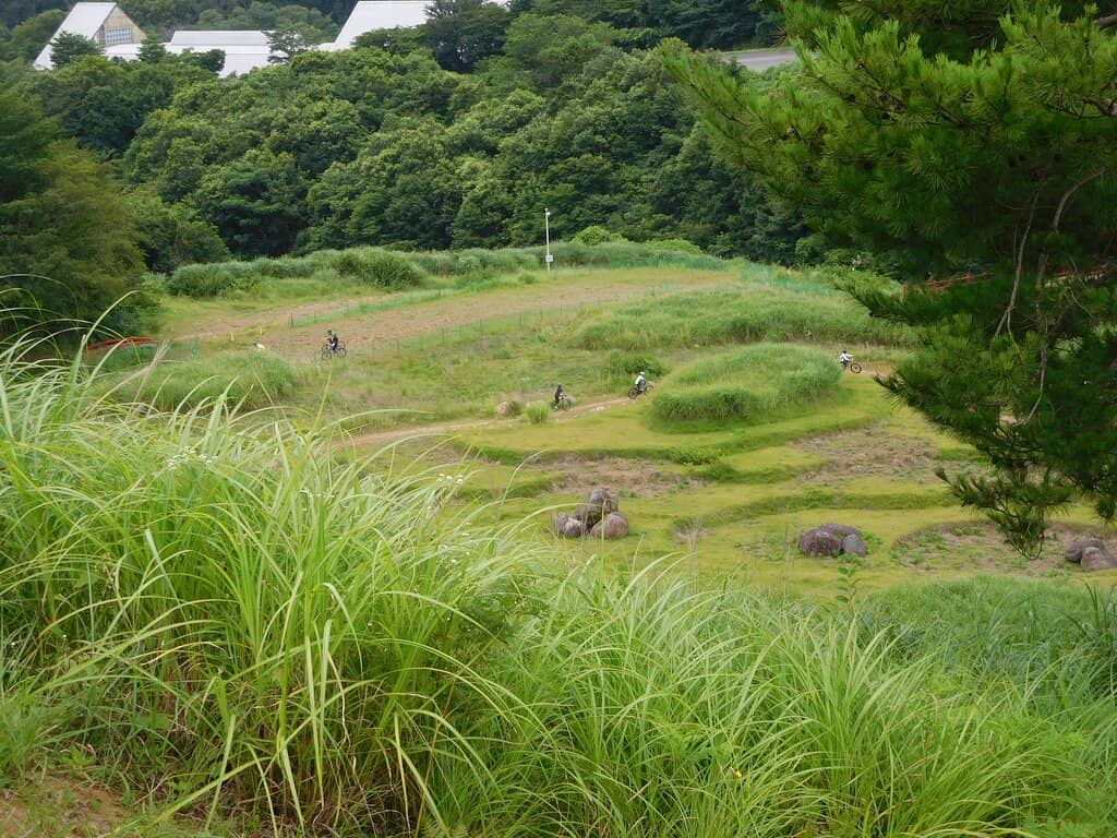 Mountain Bike Trails