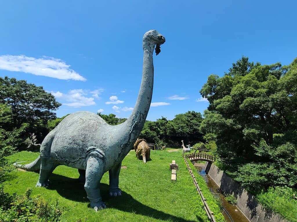 BBQ and Fishing Opportunities