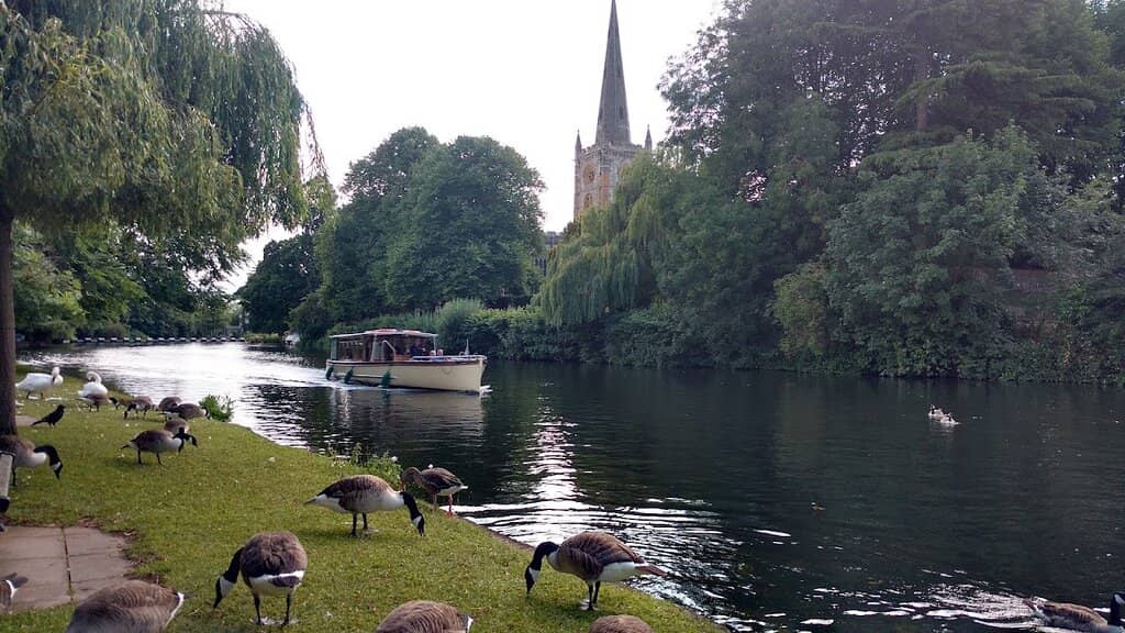River Avon Woodlands