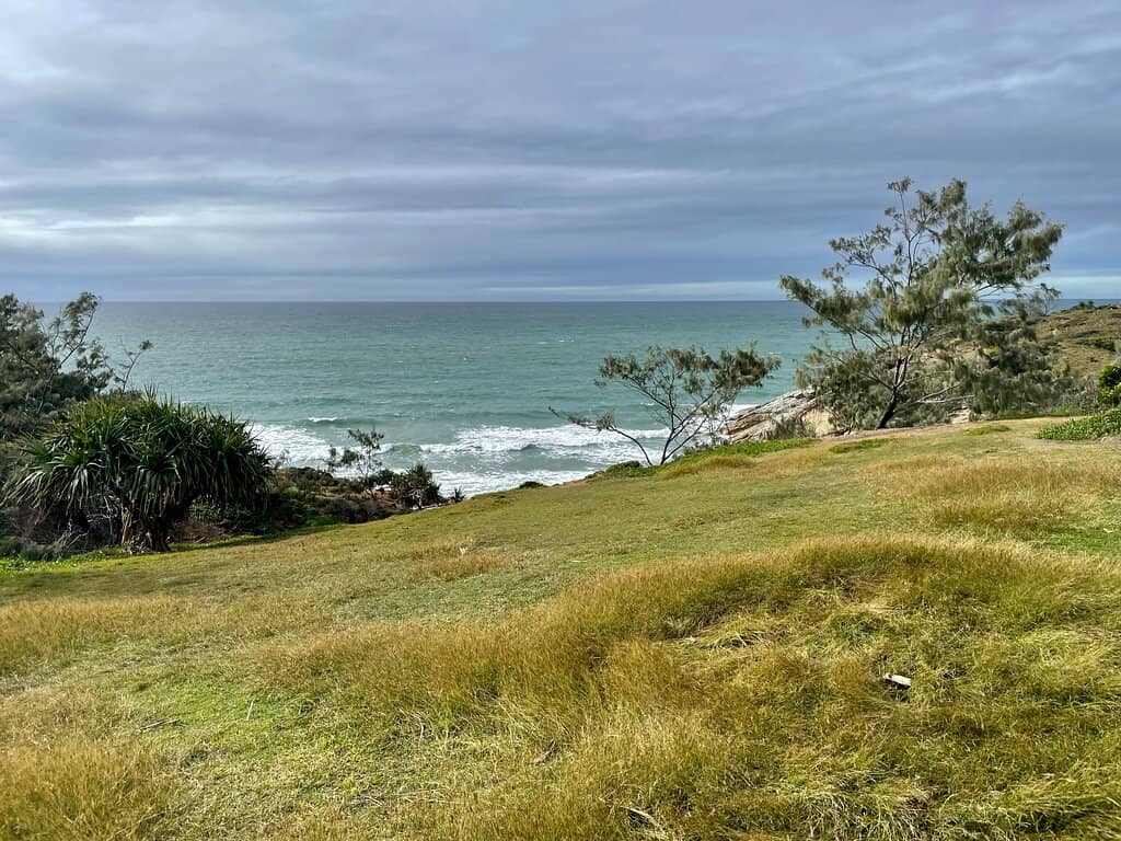Coastal Flora