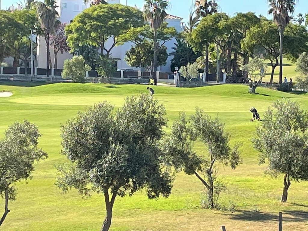 Summer Pop-Up Markets