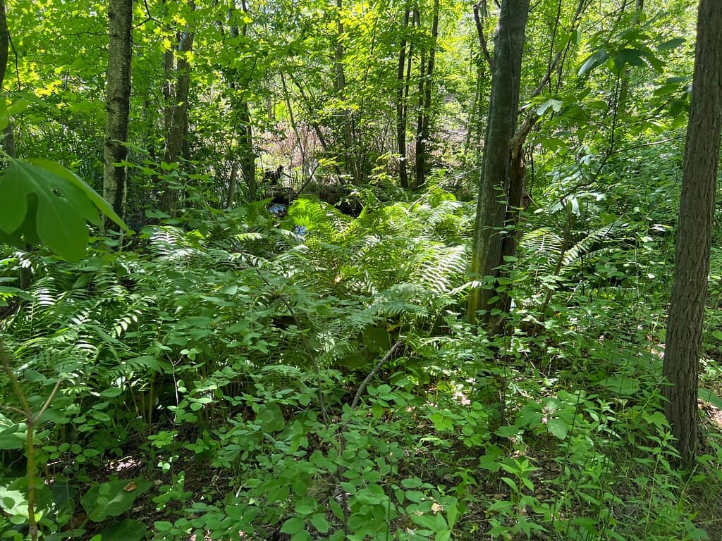 Challenging Sand Dunes