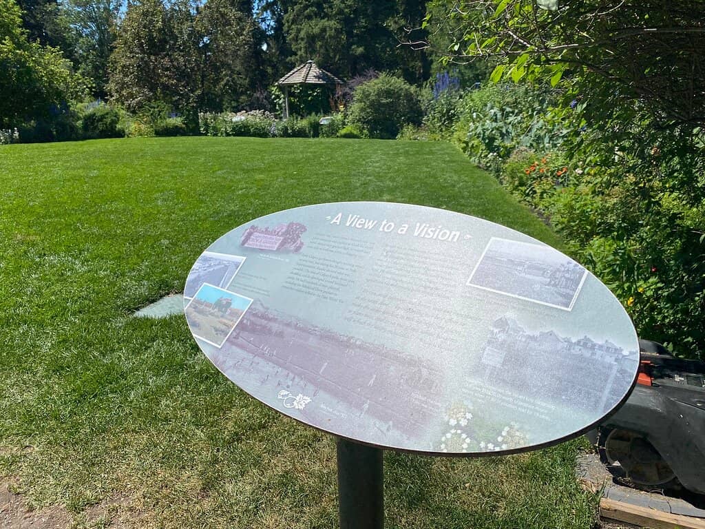 Vibrant Flower Displays