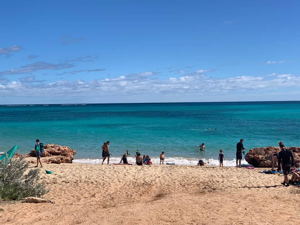 Oceanfront Campsites